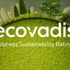 ecovadis image